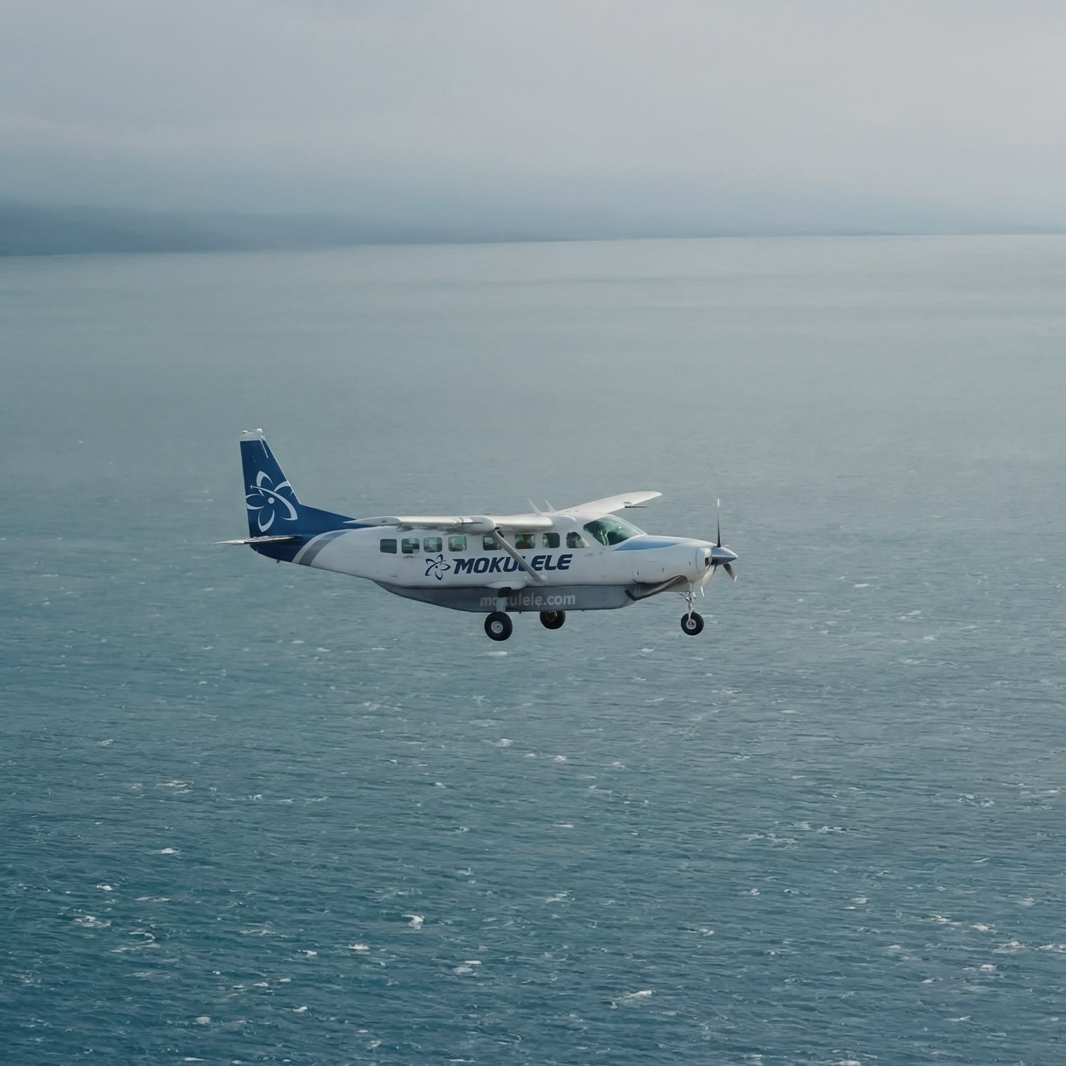mokulele_tile_b-1 copy.jpg